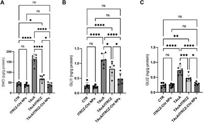 Hedgehog signaling is a promising target for the treatment of hepatic fibrogenesis: a new management strategy using itraconazole-loaded nanoparticles